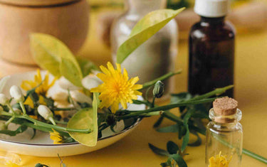 Organic vs Convential Oils: Are Organic Essential Oils Better?