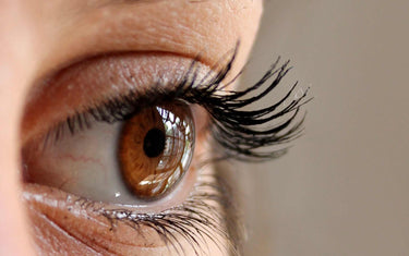 Close up of an eye and eyelashes