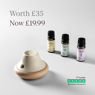 Essential Oil Starter Set + MISTI Waterless Diffuser