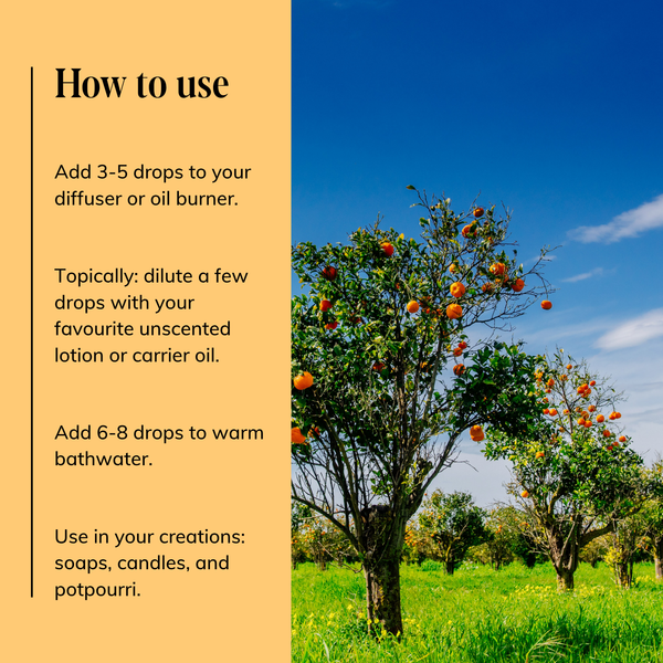 Orange Tree Essential Oil Blend