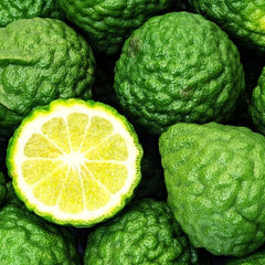 Bergamot Essential Oil Featured Image