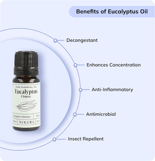 Eucalyptus (Chinese) Essential Oil