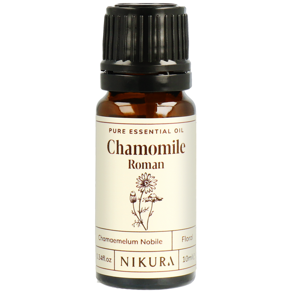 Chamomile Essential Oil Roman