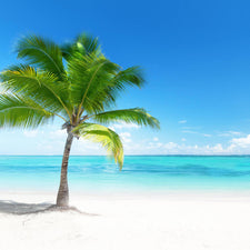 Caribbean Escape Fragrance Oil alter image