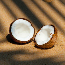 Coconut Island Fragrance Oil alter image