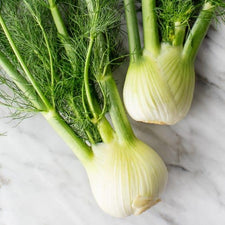 Fennel Seed (Sweet) Essential Oil alter image