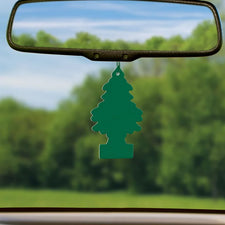 Forest Fresh Pine Fragrance Oil alter image