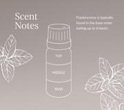 Frankincense Serrata (Indian) Essential Oil
