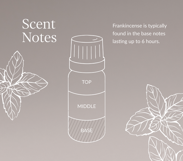 Frankincense Serrata (Indian) Essential Oil