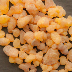 Frankincense Serrata (Indian) Essential Oil Featured Image