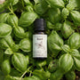 Basil (Linalool) Essential Oil