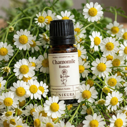 Chamomile Essential Oil | Roman