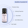 Lavender Oil | French