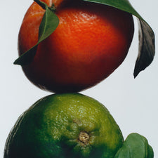 Lime, Basile & Mandarine Inspired Fragrance Oil alter image