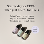 Essential Oil Starter Set + MISTI Waterless Diffuser