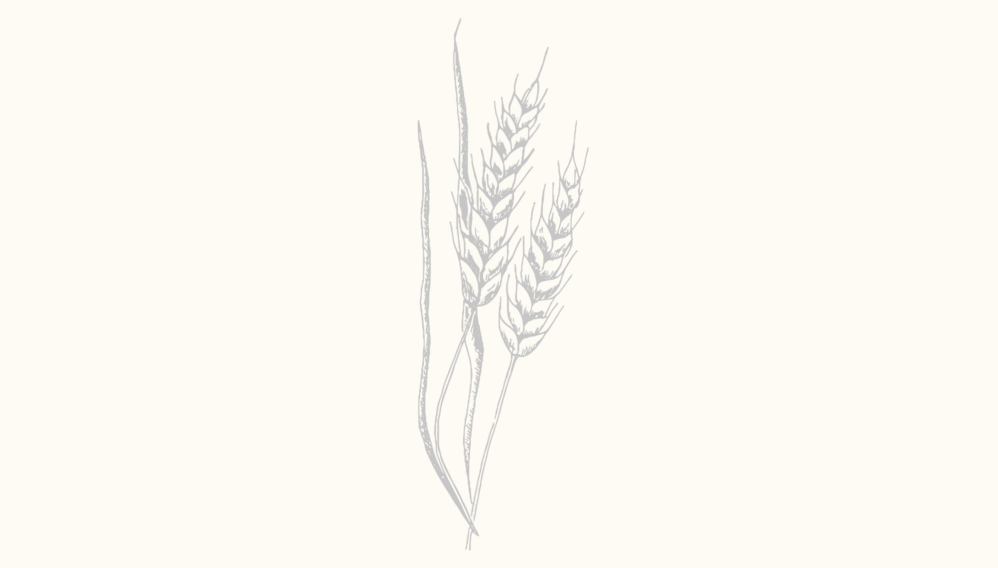 how-to-dilute-rosemary-oil-for-hair-nikura
