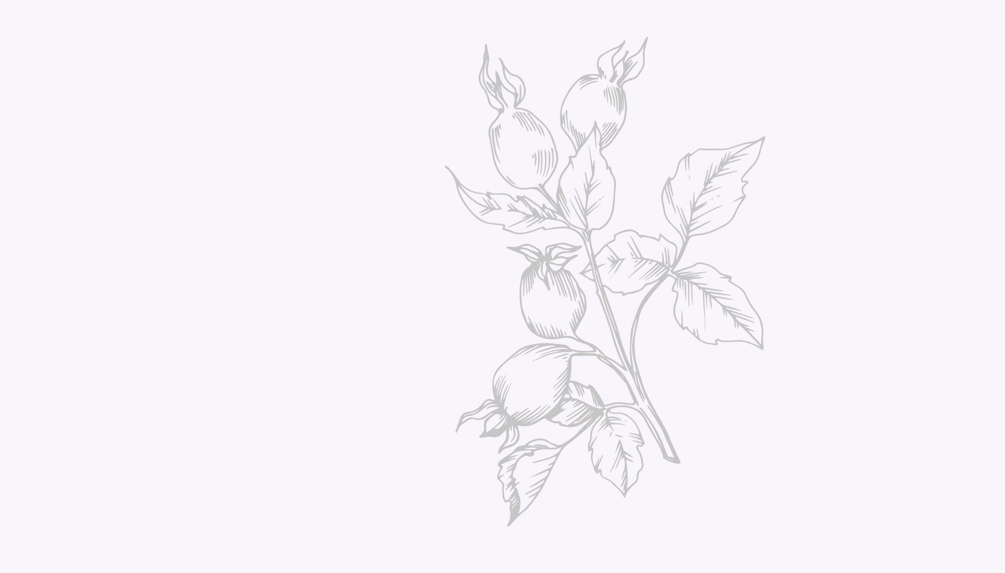 Does Peppermint Oil Repel Wasps? | Nikura