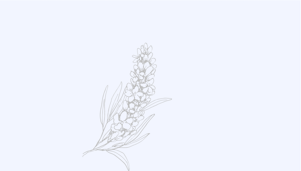 Calming Fragrance Oils Nikura