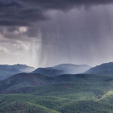 Mountain Rain (Petrichor) Fragrance Oil alter image