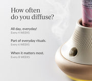 Essential Oil Starter Set + MISTI Waterless Diffuser