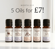 Summer MISTI Diffuser Set