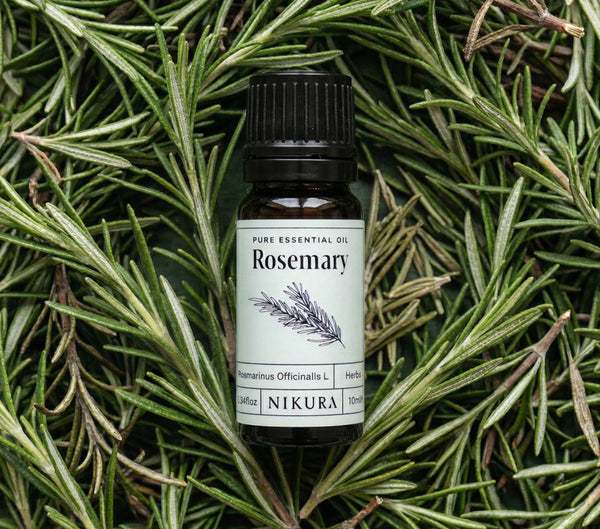 Rosemary Essential Oil