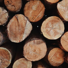 Nordic Wood Fragrance Oil | Fine Fragrance alter image