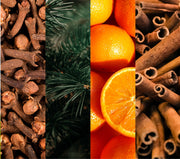 Winter Spice Essential Oil Gift Set
