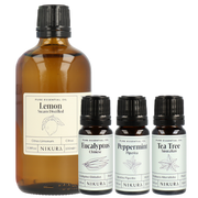 Natural Cleaning Essentials Kit