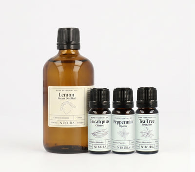 Natural Cleaning Essentials Kit