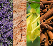Cosy Night In Essential Oil Blend