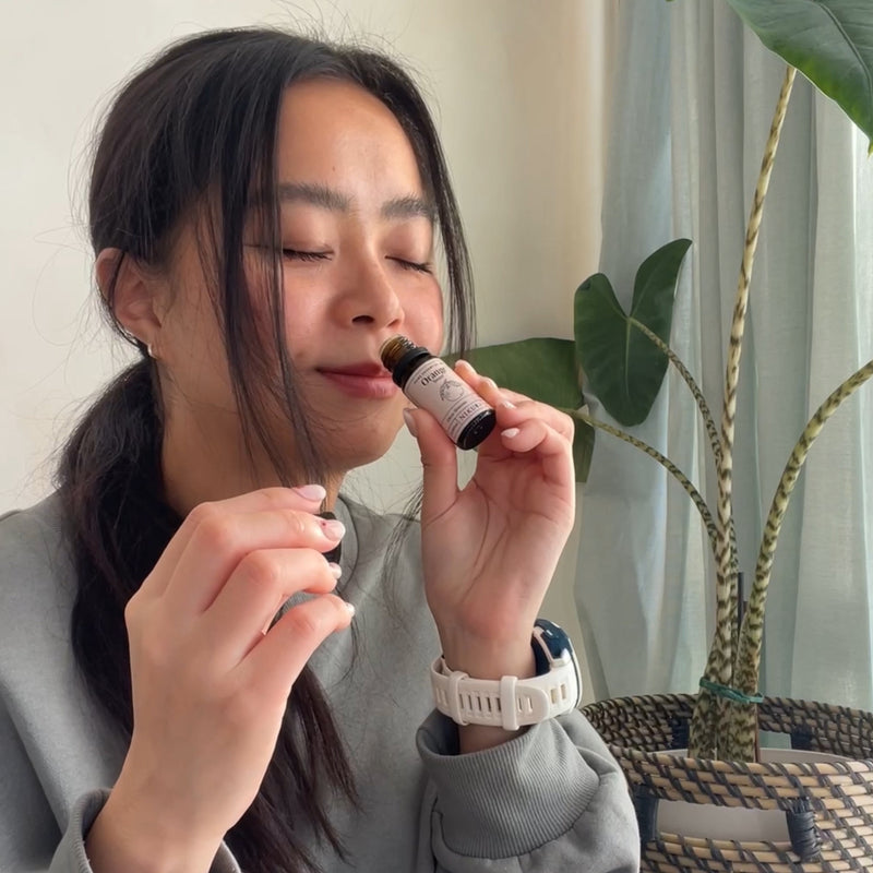 Diffusers Nikura diffusers-nikura