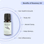 Rosemary Essential Oil