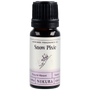 Snow Angel Inspired Fragrance Oil | Snow Pixie