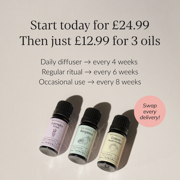 Essential Oil Starter Set + MISTI Waterless Diffuser