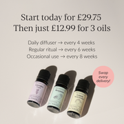 Essential Oil Starter Set + MISTI Waterless Diffuser
