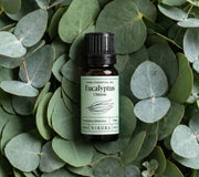 Eucalyptus (Chinese) Essential Oil