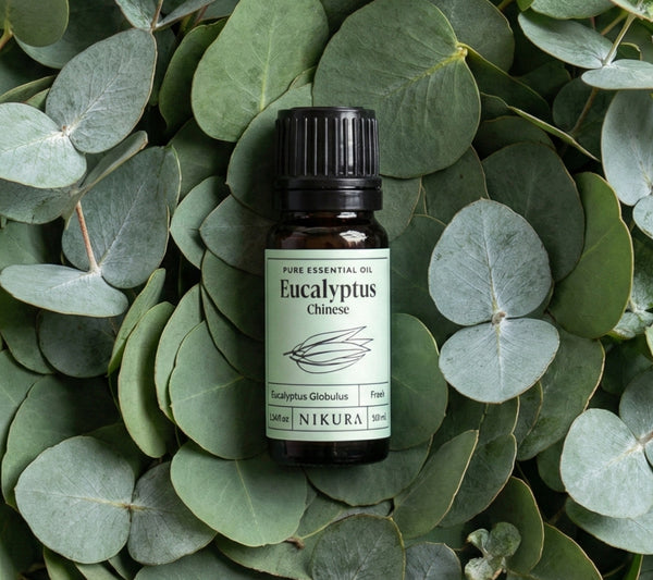 Eucalyptus (Chinese) Essential Oil