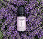 Lavender Oil | French