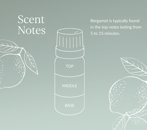 Bergamot Essential Oil