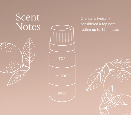 Orange Essential Oil (Sweet)