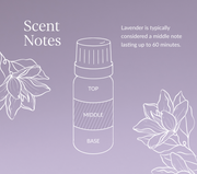 Lavender Oil | French