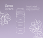 Lavender Oil | French