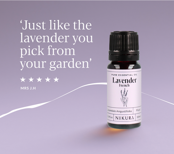 lavender tea tree oil mix French Lavender Essential Oil