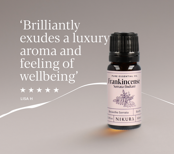 Frankincense Serrata (Indian) Essential Oil