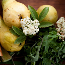 Pear & Elderflower Fragrance Oil | Fine Fragrance alter image