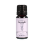 Lavender Oil | French