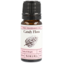 Candy Floss Fragrance Oil | Fine Fragrance
