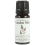 Garden Mint Essential Oil