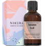 Autumn Leaf Essential Oil Blend